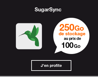 SugarSync 250 Go de stockage au prix de 100 Go